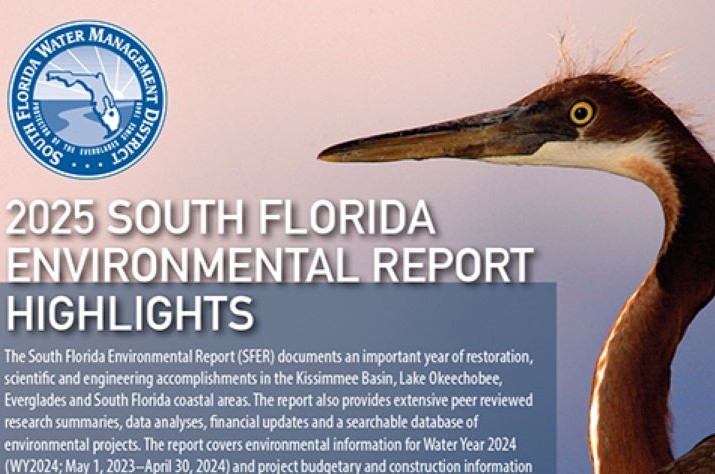 SFER highlights cover image