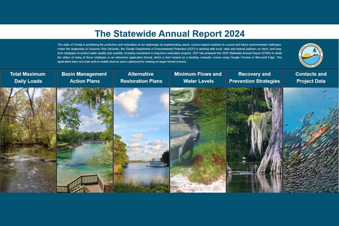 star report 2024 header image