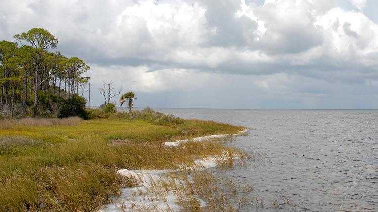 Deal tract