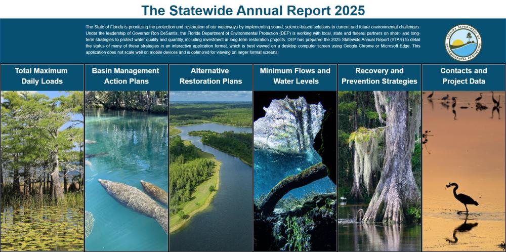 Image of the Statewide Annual Report landing page